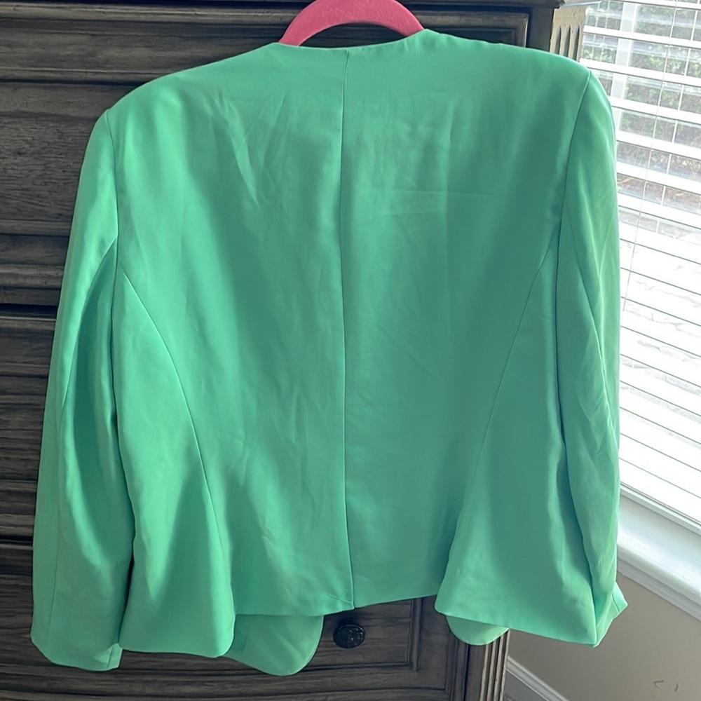 Beautiful Mint Blazer - Picture 3 of 4